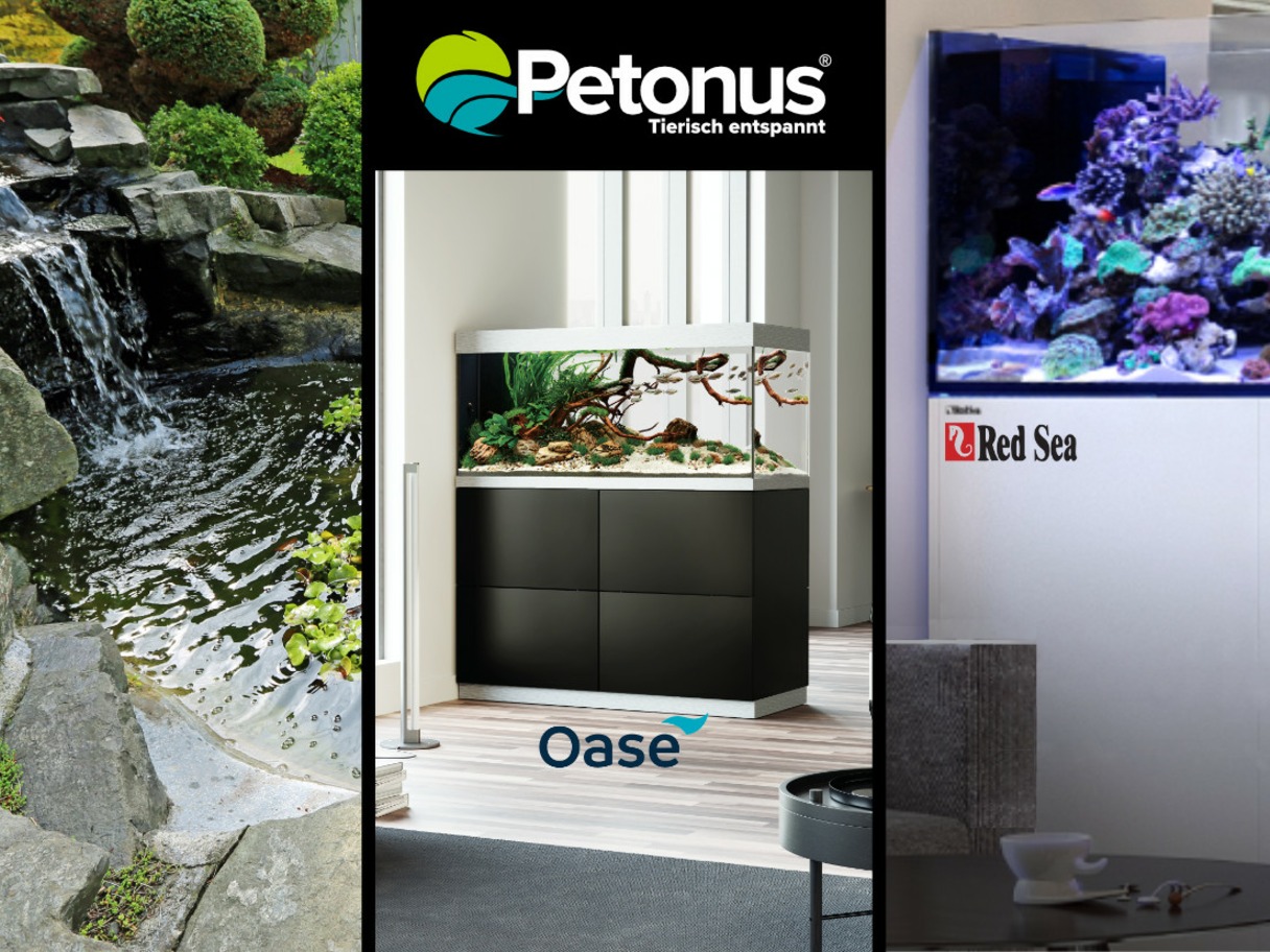 About Us petonus.com