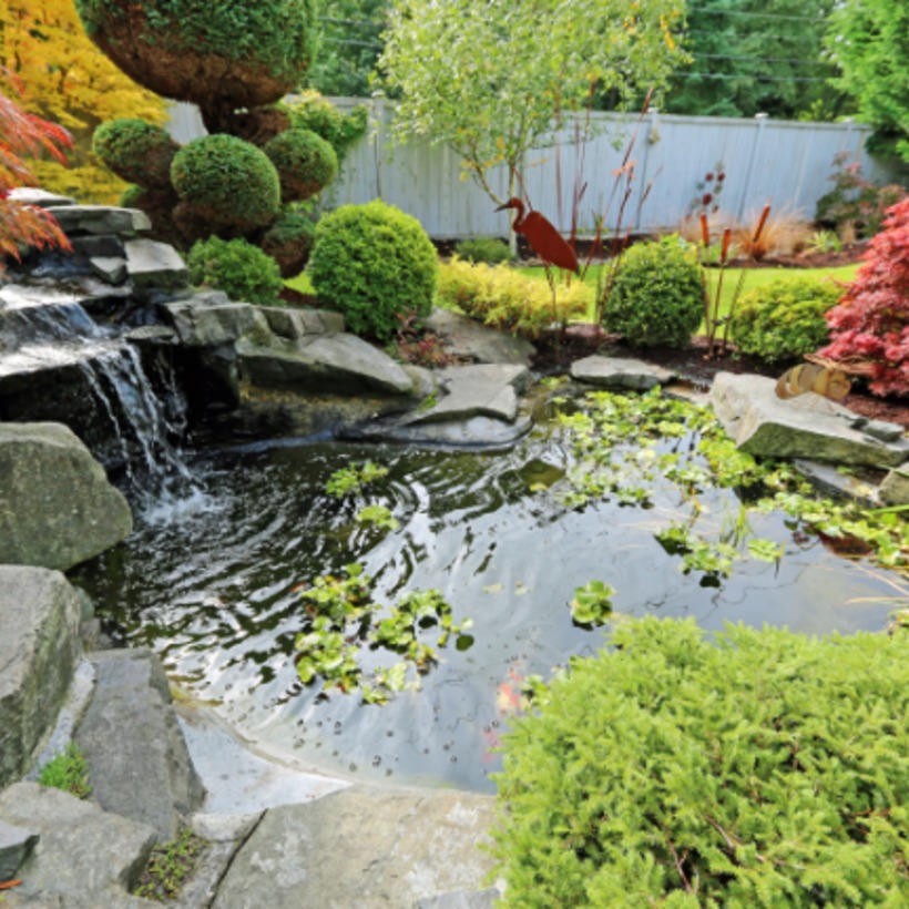 Pond