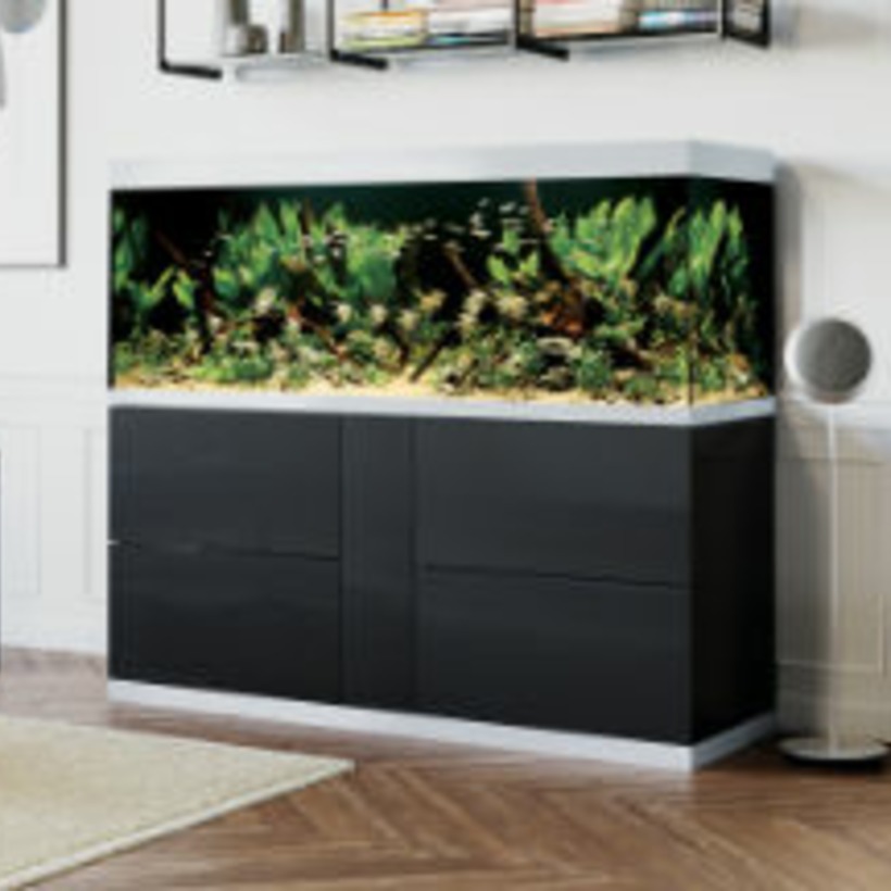 Freshwater Aquarium